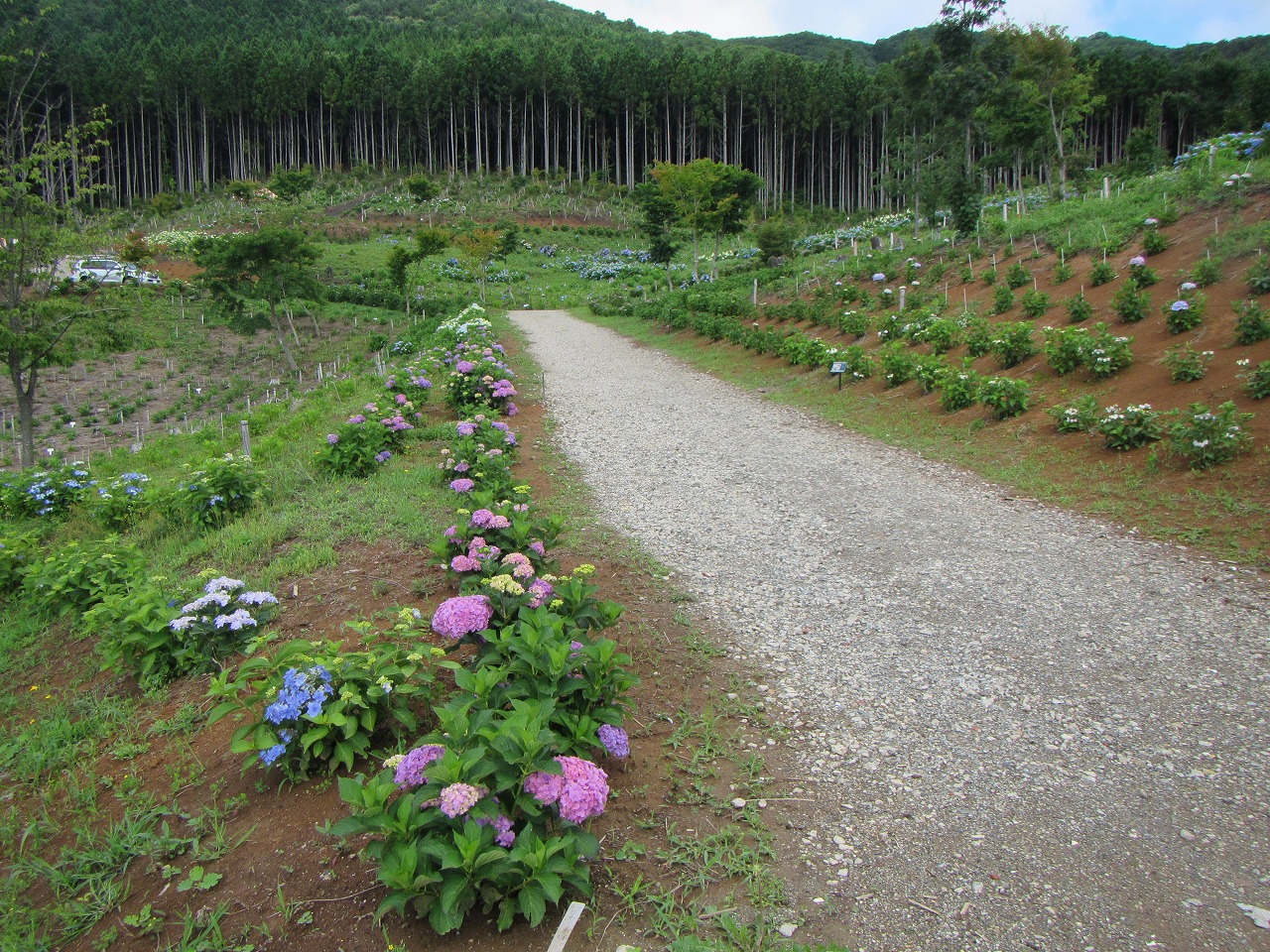 じさい園　(1)入口付近　の画像