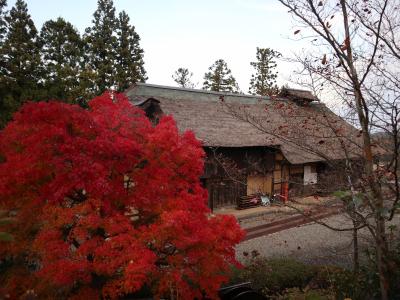 紅葉