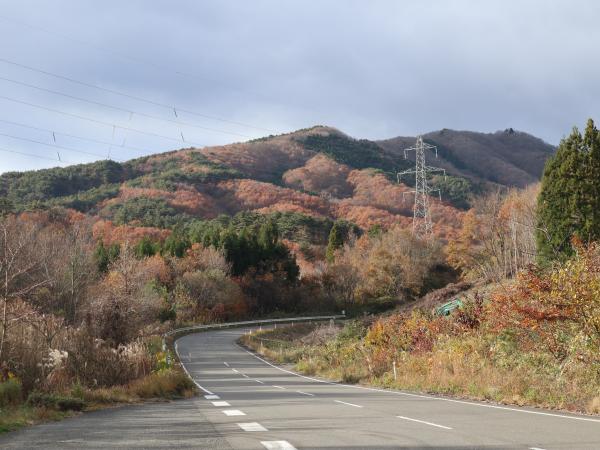 紅葉