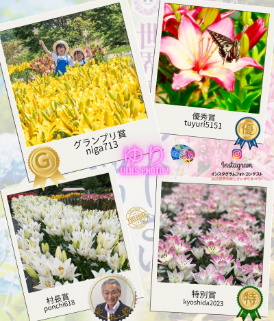 ゆり写真結果