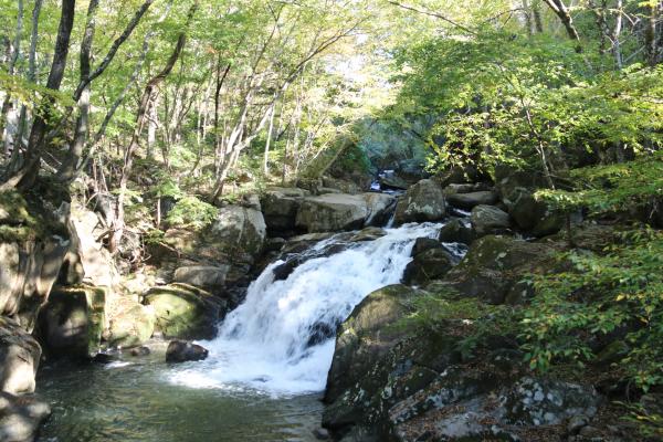 山鶏滝