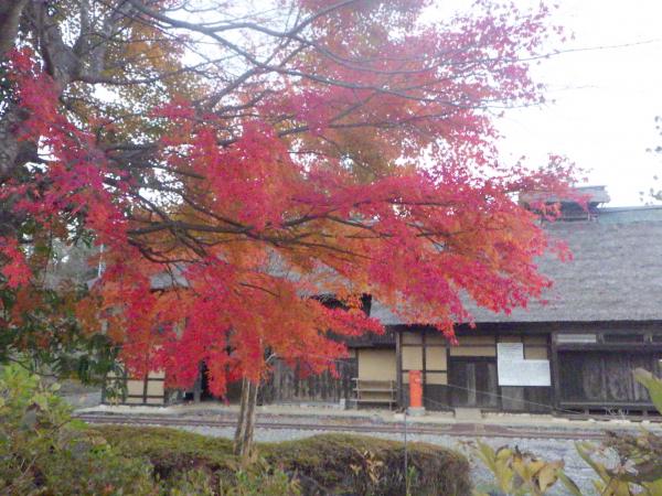 令和7年 平田村紅葉情報 - 平田村公式ホームページ