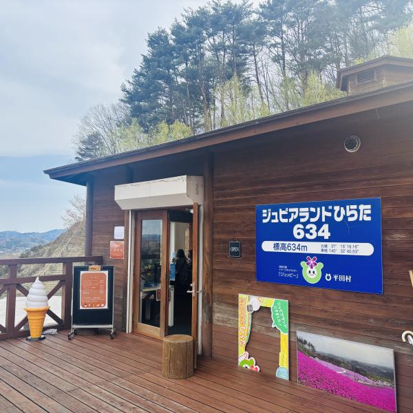 芝桜開花状況④
