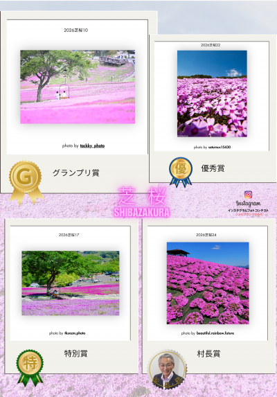 芝桜開花状況①