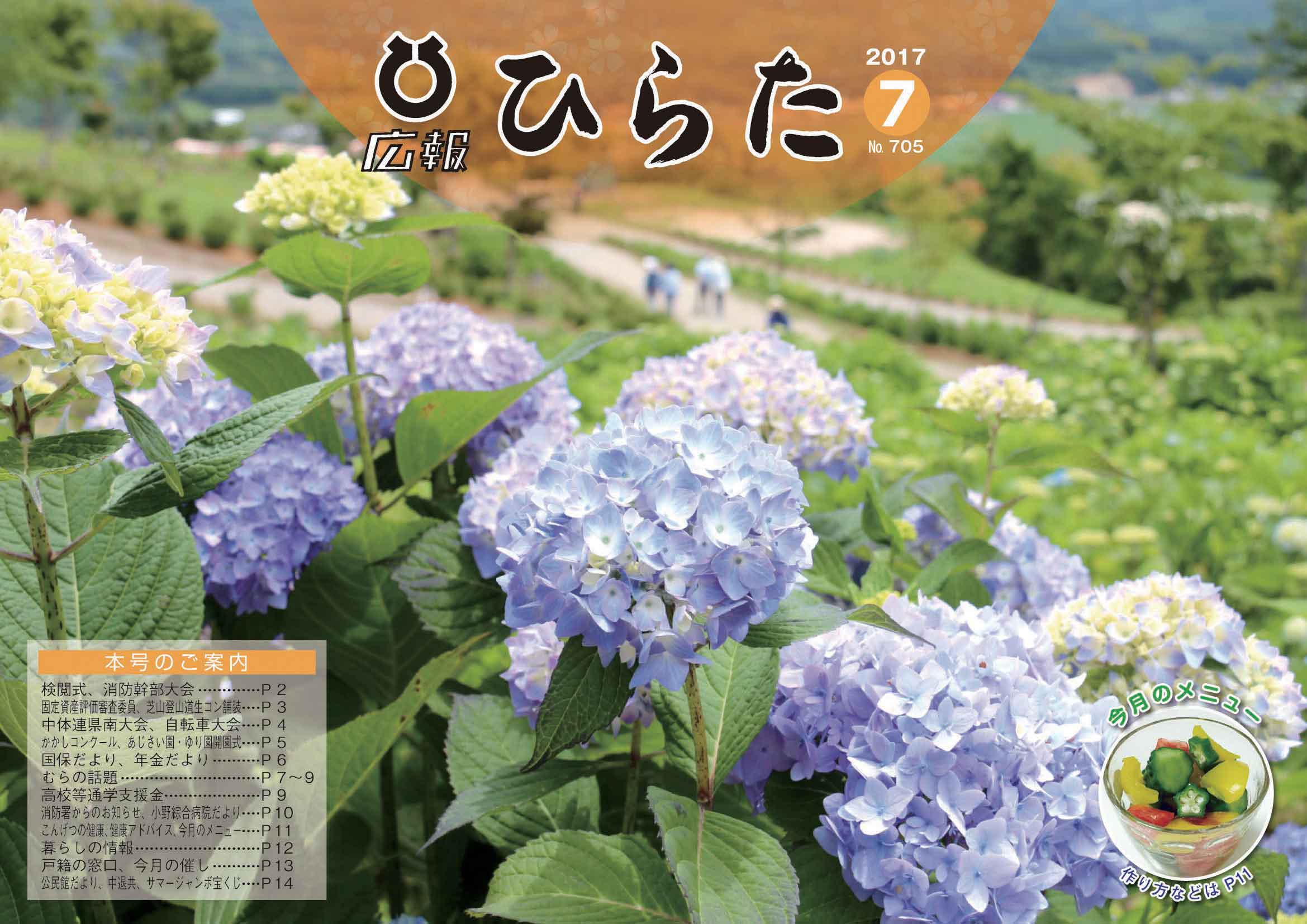 広報ひらた 2017年（平成29年）7月10日発行分（No.705）