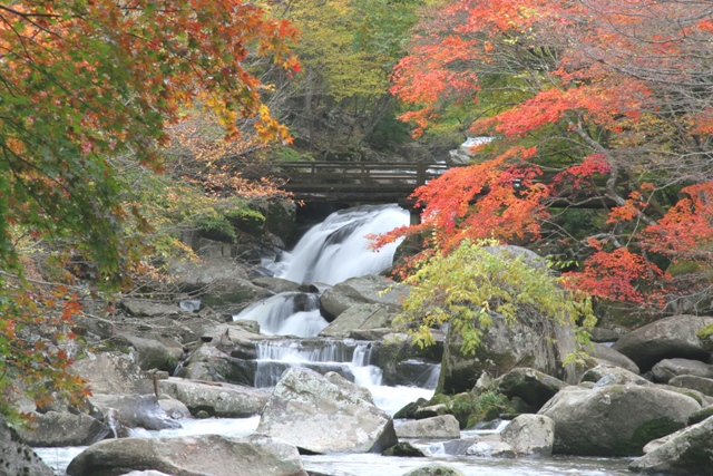 紅葉の山鶏滝の画像