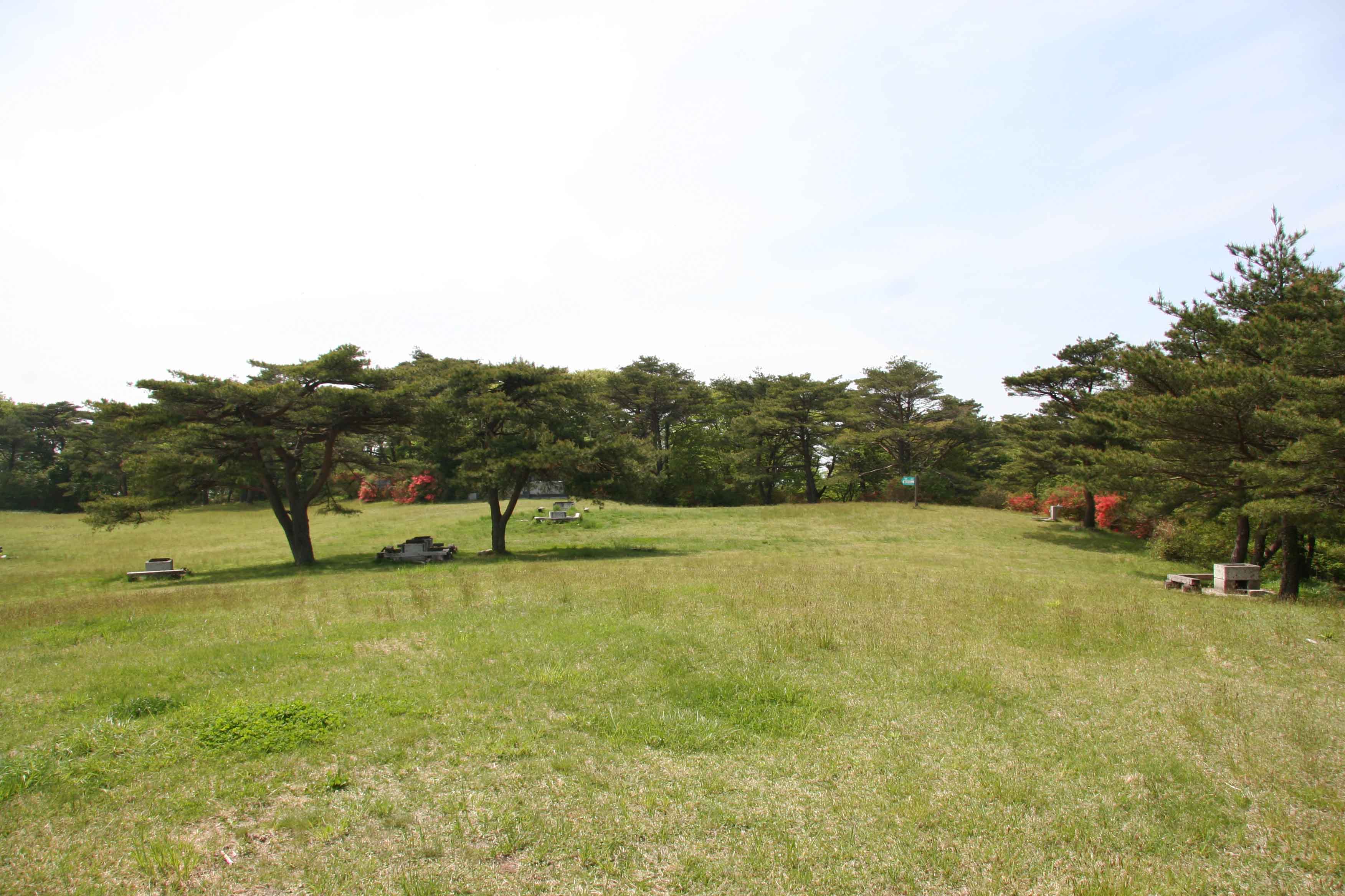 芝山の様子画像