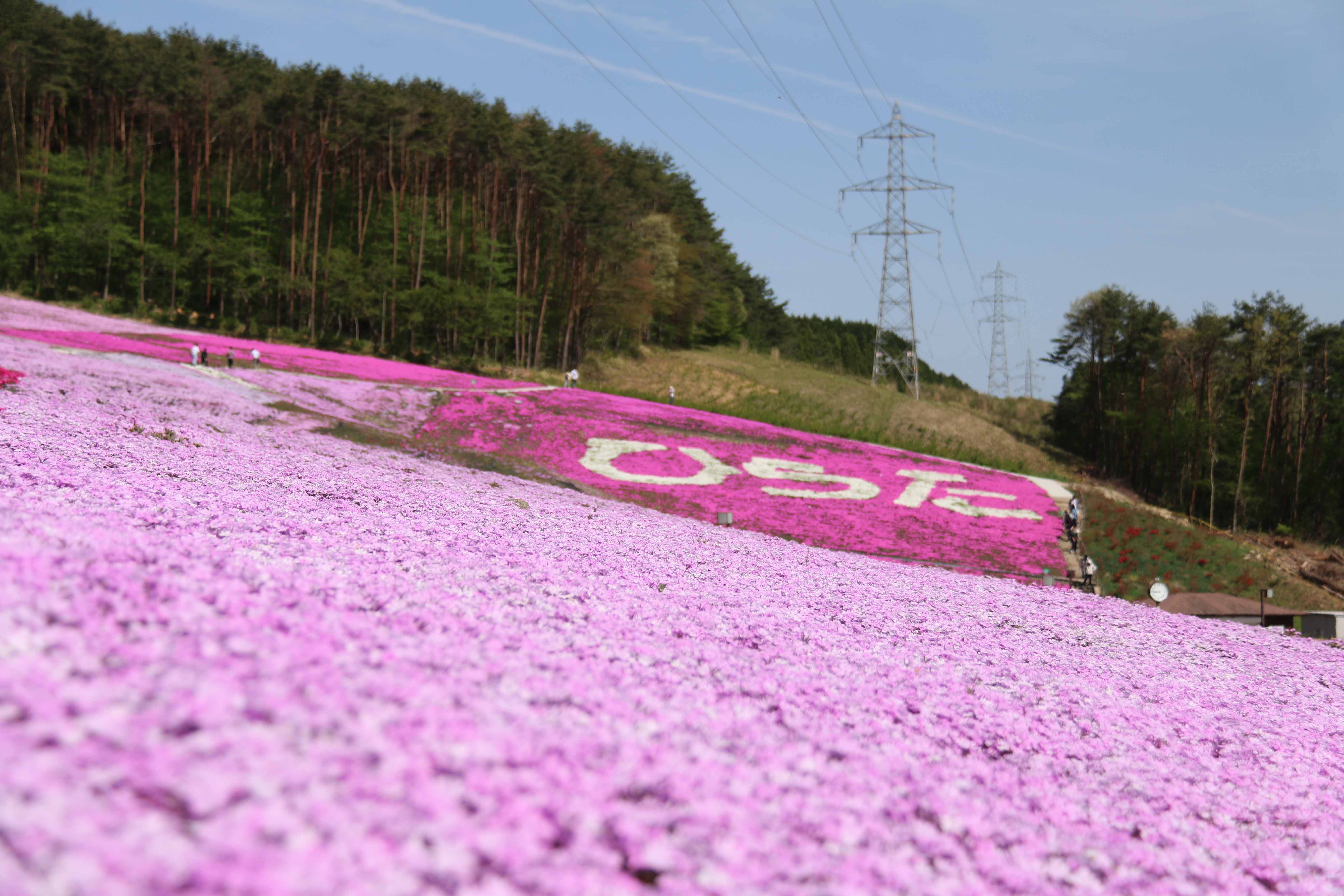 平成27年5月3日ライブカメラの画像