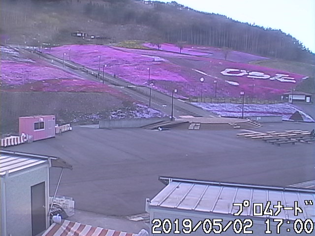 令和元年5月2日ライブカメラの画像
