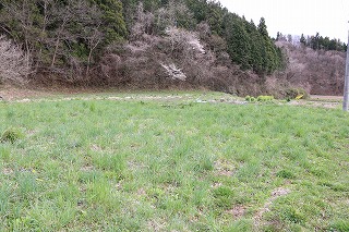 空き地1の画像