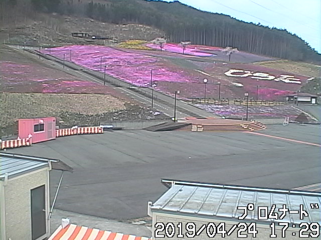 令和元年4月24日ライブカメラの画像