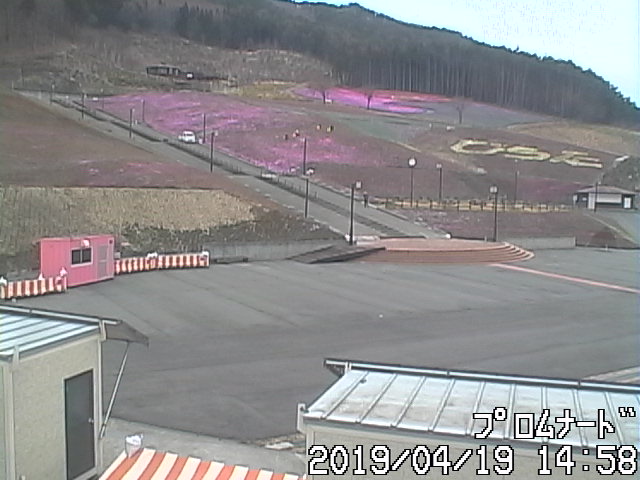 令和元年4月19日ライブカメラの画像