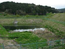 小舘工業団地調整池の写真