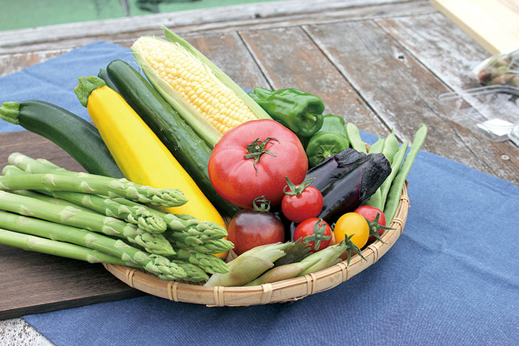 高原野菜