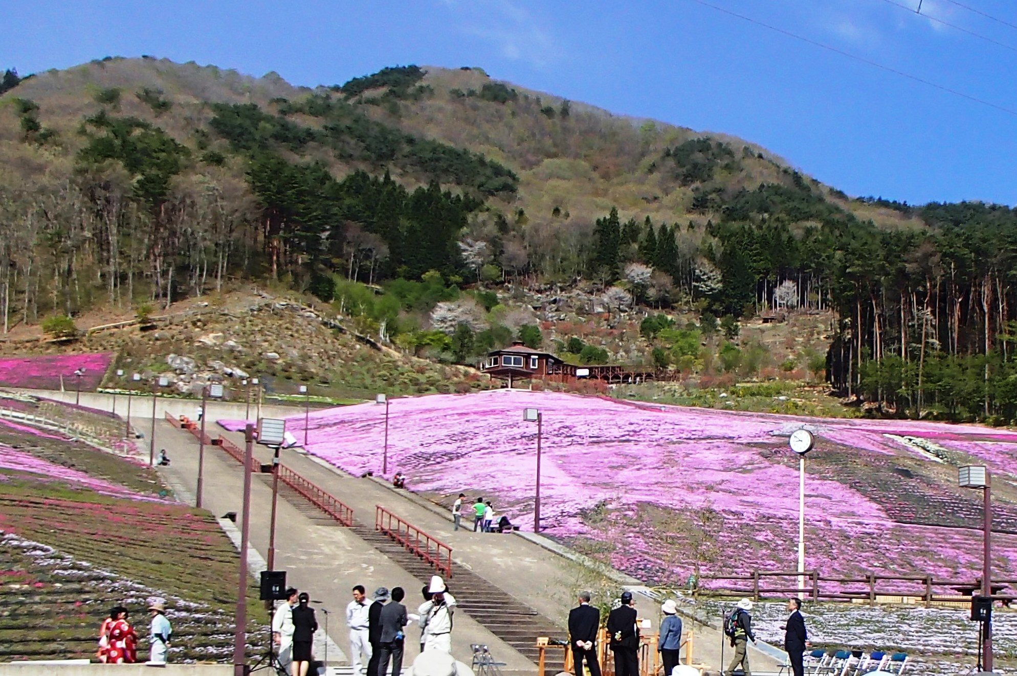 平成27年4月29日ライブカメラの画像