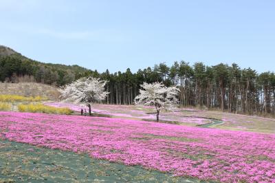 さく